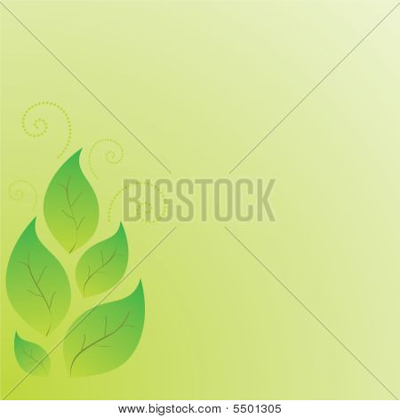 Foglie di primavera