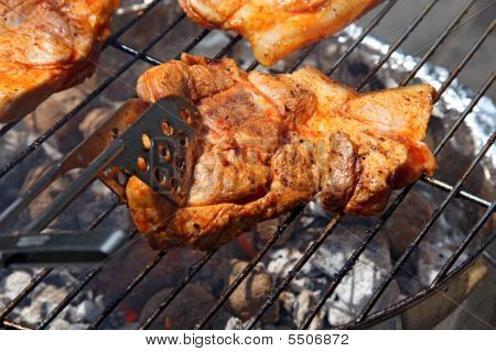 Grilli grilli