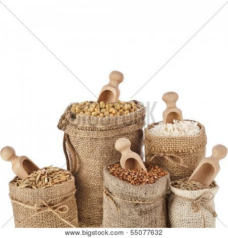 Corn kernel seed meal and grains in bags with wooden scoop isolated on a white background 