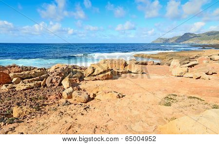 rocky coast