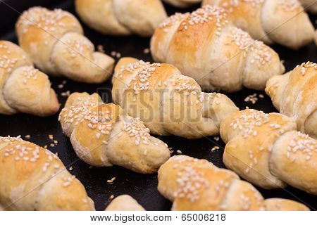 Home Made Pastry
