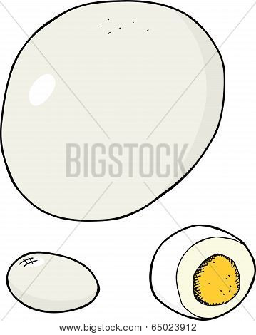 Isolated Hard Boiled Egg