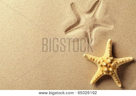 Seashell with imprint on beach sand