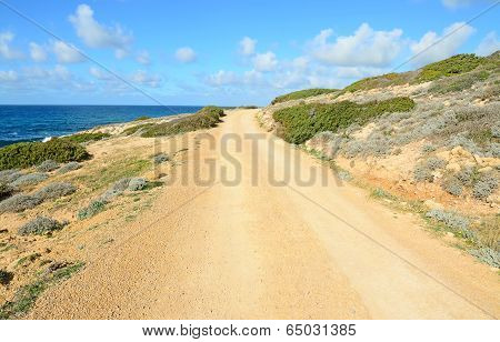 Dirt Road By The Coast