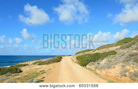 Dirt Road By The Sea