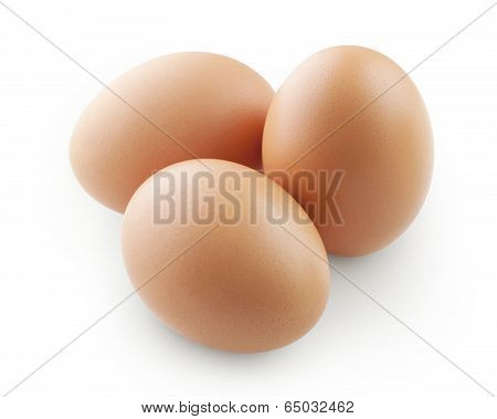 eggs isolated