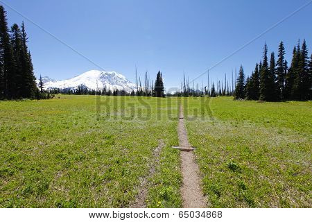 Hiking Trail. Mt Rainer, Washington