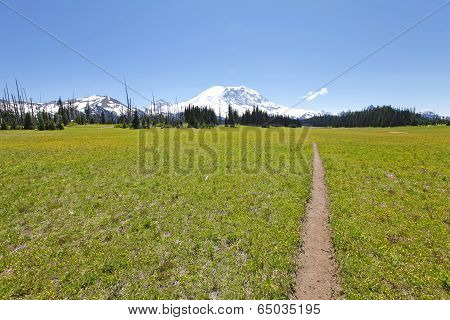 Hiking Trail. Mt Rainer, Washington