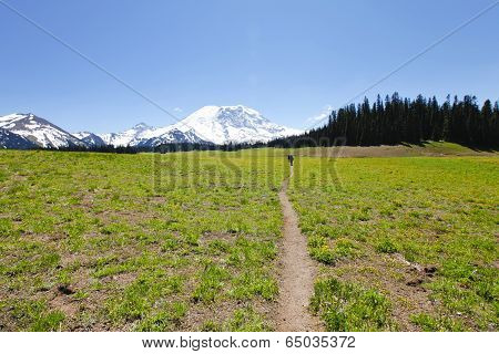 Hiking Trail. Mt Rainer, Washington