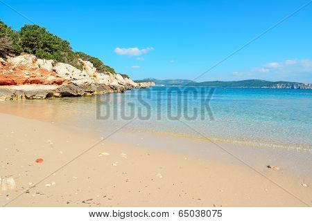 Golden Shore And Blue Sky