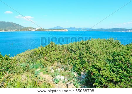 Green And Blue Shore