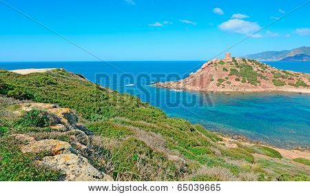 Green Bushes In Porticciolo