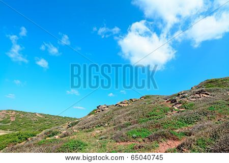 Green Hill And Blue Sky