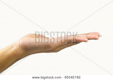 Hand