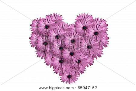 heart of flowers