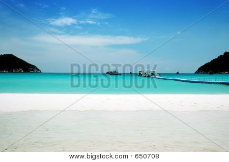 Beach View