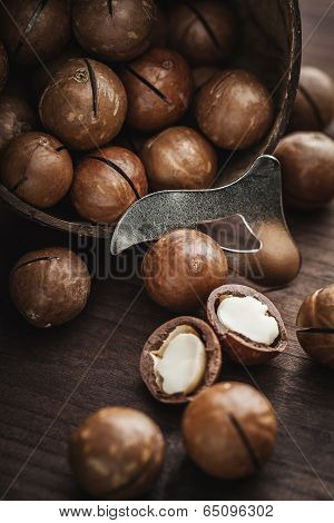 Macadamia Nuts