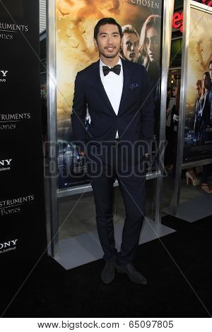 LOS ANGELES - AUG 12:  Godfrey Gao at the 