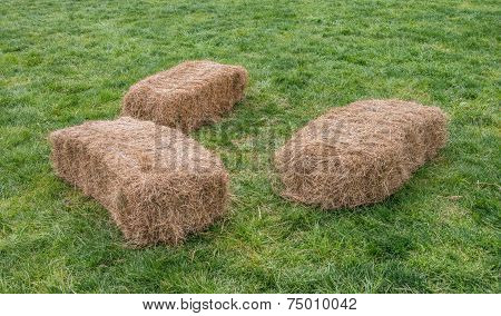 Hay