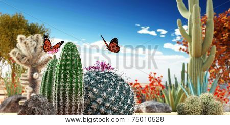 Cactuses