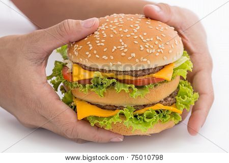 Hamburger Isolated