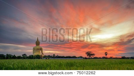Wat Muang With Gilden Giant Big Buddha Statue