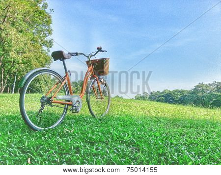 Bicycle in park plus effects