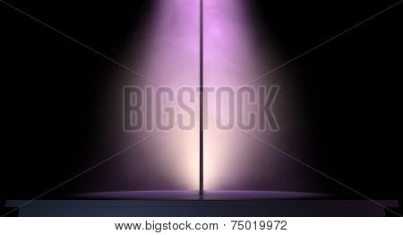 Stripper pole