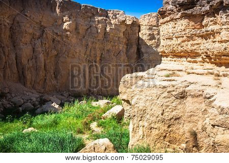 Mountain Oasis Tamerza In Tunisia Near The Border With Algeria.