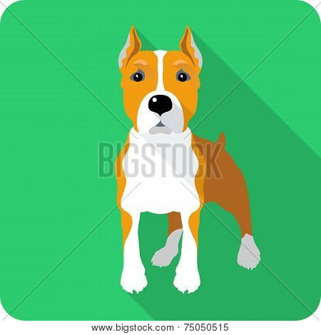 Dog Amstaff Icon Flat Design