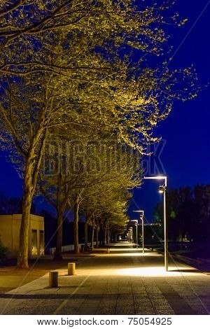A Night in the Park. Late Spring Night in the Park. Stone Stairs and Park Alley. Horizontal Photography. Central Europe. France. Paris. Amiens.