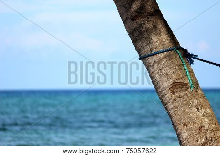 A view on the ocean