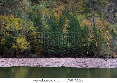 Mountain lake pollution