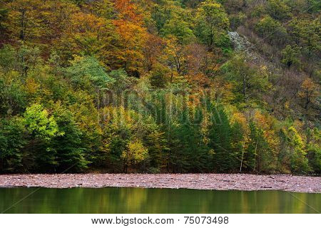 Mountain lake pollution