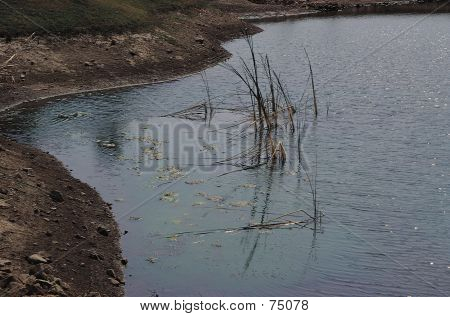 Natur se