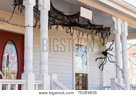 Halloween Decor