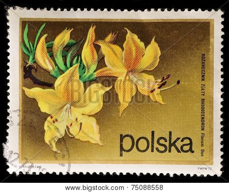 Stamp