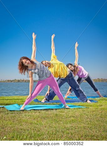 Tree people practice Yoga asana at lakeside on suny day. Yoga concept.