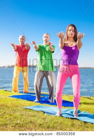 Tree people practice Yoga asana at lakeside on suny day. Yoga concept.