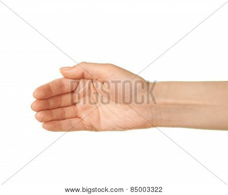 Female caucasian hand gesture isolated