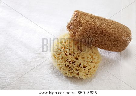 lufa sponge and sea sponge on towel