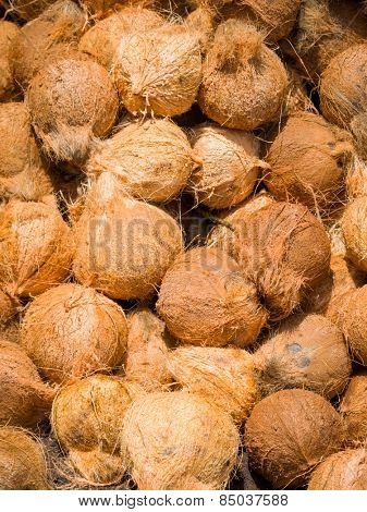 Fresh coconuts at the openair market in Thailand