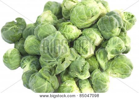 Broccoli, Cabbage  On A White