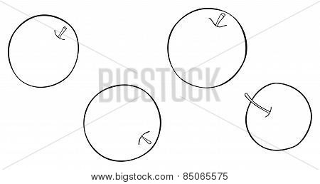 Delightful Garden - 4 Best Round Apples