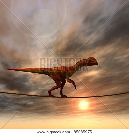 Concept or conceptual abstract business metaphor as wild heavy dinosaurus balancing on rope over sunset sky background