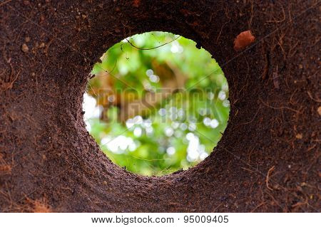 Ground Hole Shot From Bottom