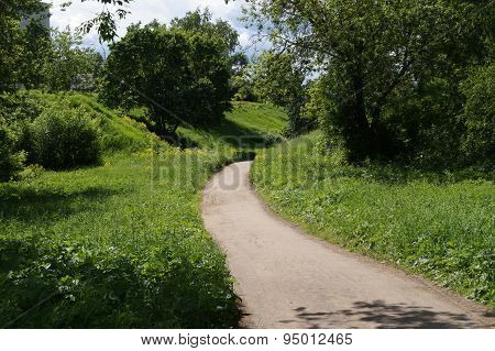The road in a ravine