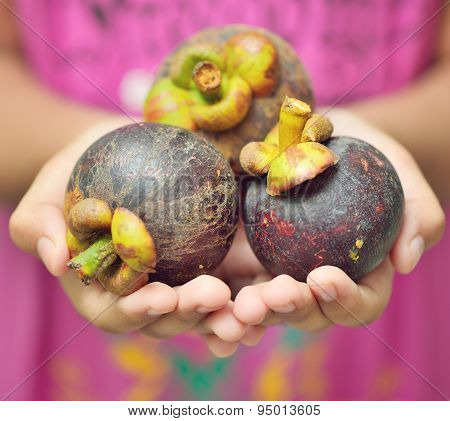 Mangustan or Mangostan fruit