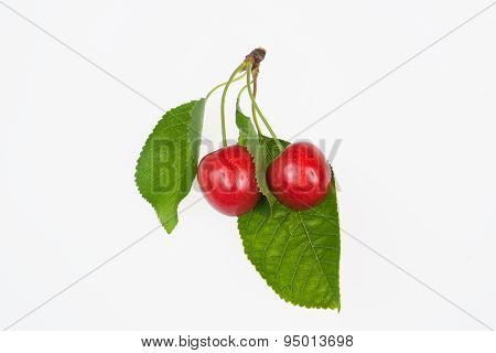 Cherry