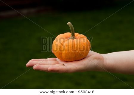 Pumpkin